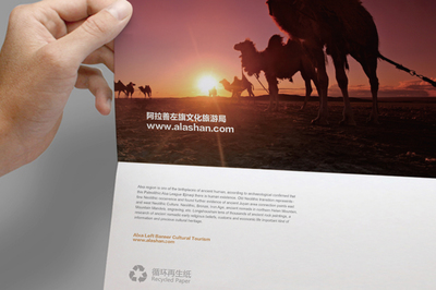 蒼天圣地 絲路駝鄉(xiāng) 先行品牌的差異化定位與創(chuàng)意設計之道